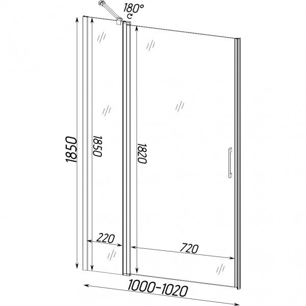 Душові двері PASLENKA 100TC (100T) BRAVO (1уп.)