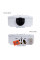 Колонка газовая дымоходная Thermo Alliance JSD20-10CLM 10 л White