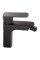 Змішувач для биде Qtap Lipno QTLIPNO2023101CB Black Matt