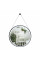 Зеркало Qtap Robin R600 с LED-подсветкой, на ремне QT13786502B