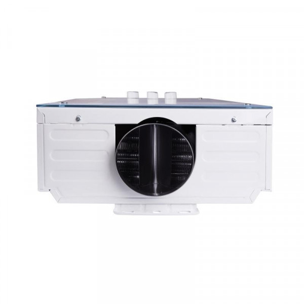 Колонка газовая дымоходная Aquatronic JSD20-AG108 10 л режим Зима/Лето, панель из стекла с рисунком цветы