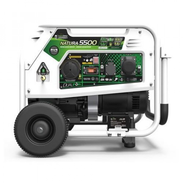 Генератор бензин - газ GENERGY NATURA 5000 5,5/5 кВт