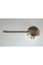 FASD 25 Inox (дозатор для мыла)