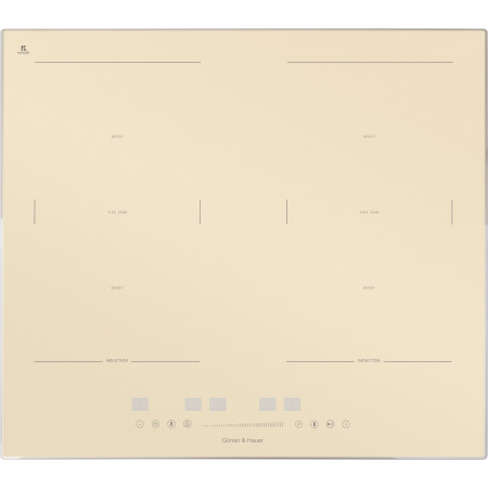 I 500 IVR: індукційна варильна поверхня Gunter & Hauer