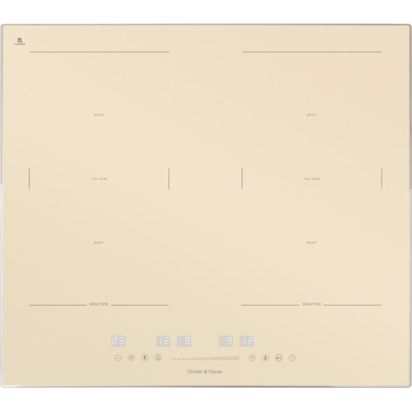 I 500 IVR: індукційна варильна поверхня Gunter & Hauer