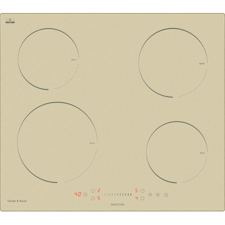 I 6 IVR: індукційна варильна поверхня Gunter & Hauer