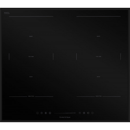 I 500: індукційна варильна поверхня Gunter & Hauer