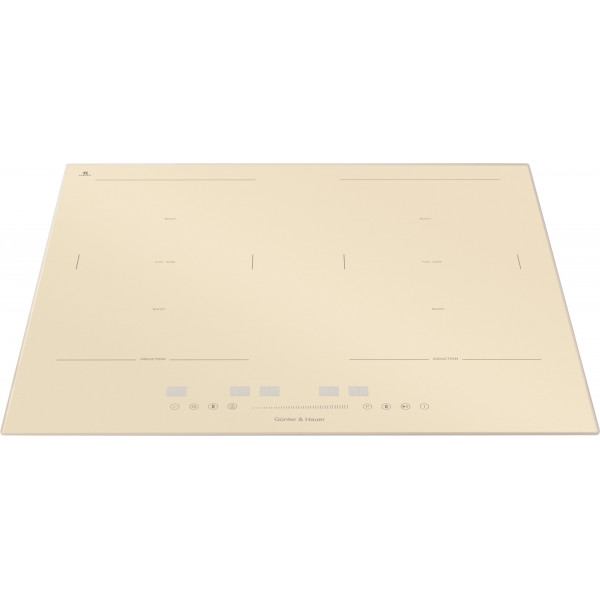 I 500 IVR: індукційна варильна поверхня Gunter & Hauer