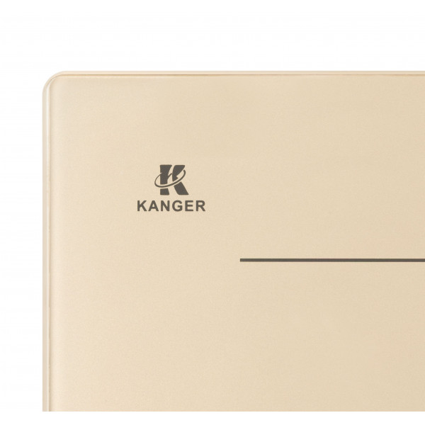 I 500 IVR: індукційна варильна поверхня Gunter & Hauer