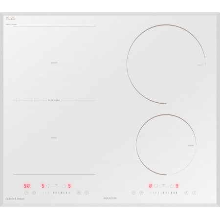 I 6 MW: індукційна варильна поверхня Gunter & Hauer