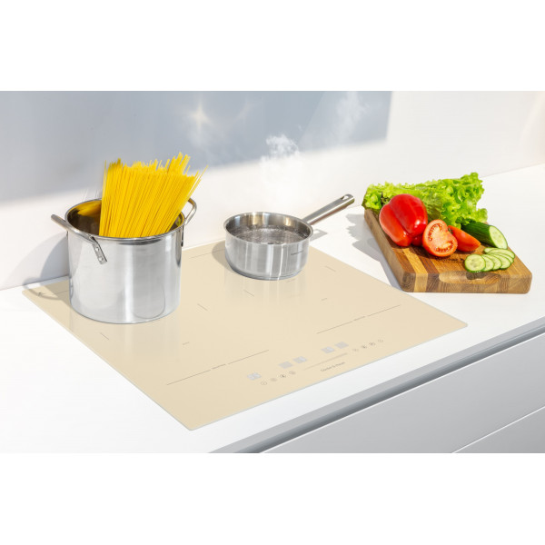 I 500 IVR: індукційна варильна поверхня Gunter & Hauer