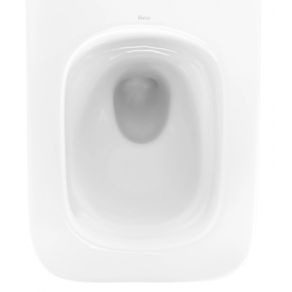 Подвесной унитаз REA DEXTER TORNADO WHITE