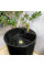 Умывальник (раковина) VBI AGRIENTO BLACK GLOSSY напольный