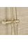 Душевой гарнитур REA LUNGO STRIPE BRUSHED GOLD с изливом