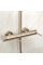 Душевой гарнитур REA FOSS CLIF BRUSHED GOLD