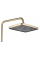 Душевой гарнтитур REA JOE BRUSHED GOLD с изливом
