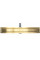 Трап для душа REA NEOX 100 PRO BRUSHED GOLD 2в1 матовое золото