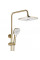 Душевой гарнитур REA ARGUS BRUSHED GOLD золотой матовый с изливом