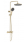 Душевой гарнитур REA LUNGO STRIPE BRUSHED GOLD с изливом