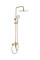 Душевой гарнитур REA ARGUS BRUSHED GOLD золотой матовый с изливом