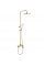 Душевой гарнитур REA  AVALON BRUSHED GOLD матовое золото с изливом