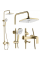 Душевой гарнитур REA STORM BRUSHED GOLD с изливом