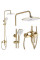 Душевой гарнитур REA ARGUS BRUSHED GOLD золотой матовый с изливом