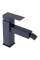 Змішувач для біде Mixxus KUB-002 Black з нерж. сталі SUS304 (кол. чорний) (MI6041)