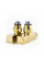 Кран кутовий для рушникосушки Raftec Quadro 1/2х1/2, золото, 2шт.
