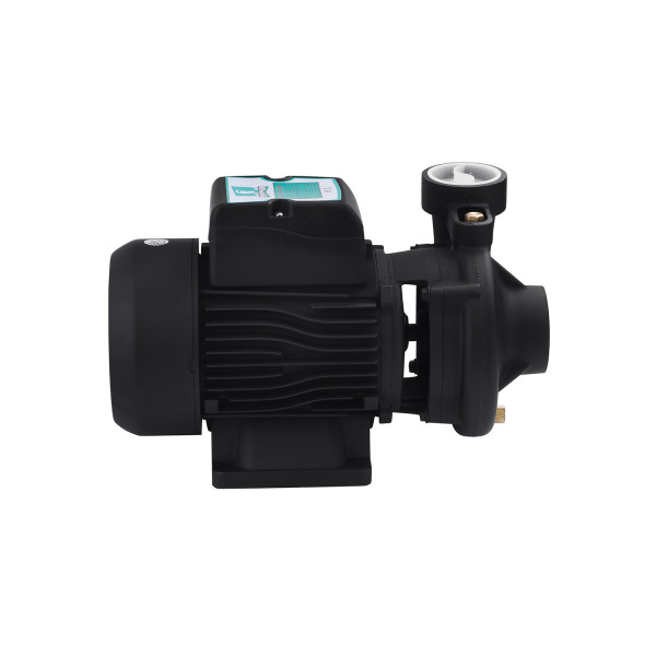 Насос поверхневий поливальний Pumpman 2DK20 Нmax 17 м Qmax 27 куб.м 2