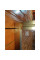 Шторки скляні на ванну розсувні Koer SR BS06-120x150-TR-12 прозоре скло Easy Clean 6мм, матове золото (KR5946)