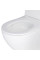 Комплект Grohe Set Унітаз ELLIPSE-0305-T3 + Інсталяція UA388400WG + панель 38732000 (388400WGELLIPS0305T3)