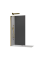Душова перегородка Koer SR SP02-100x200-TR-12 Walk-In проз.скло Easy Clean 8мм, матове золото (KR5396)